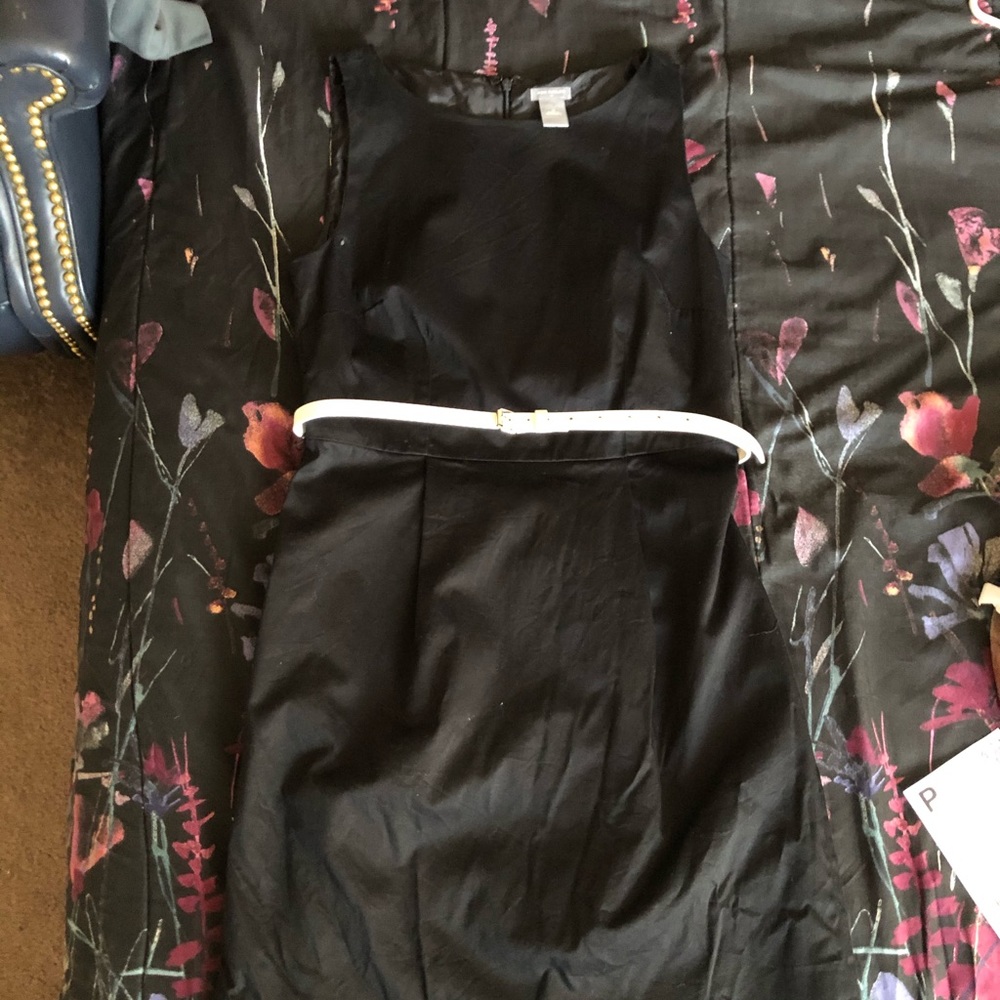 Ann Taylor Boatline Classic Dress